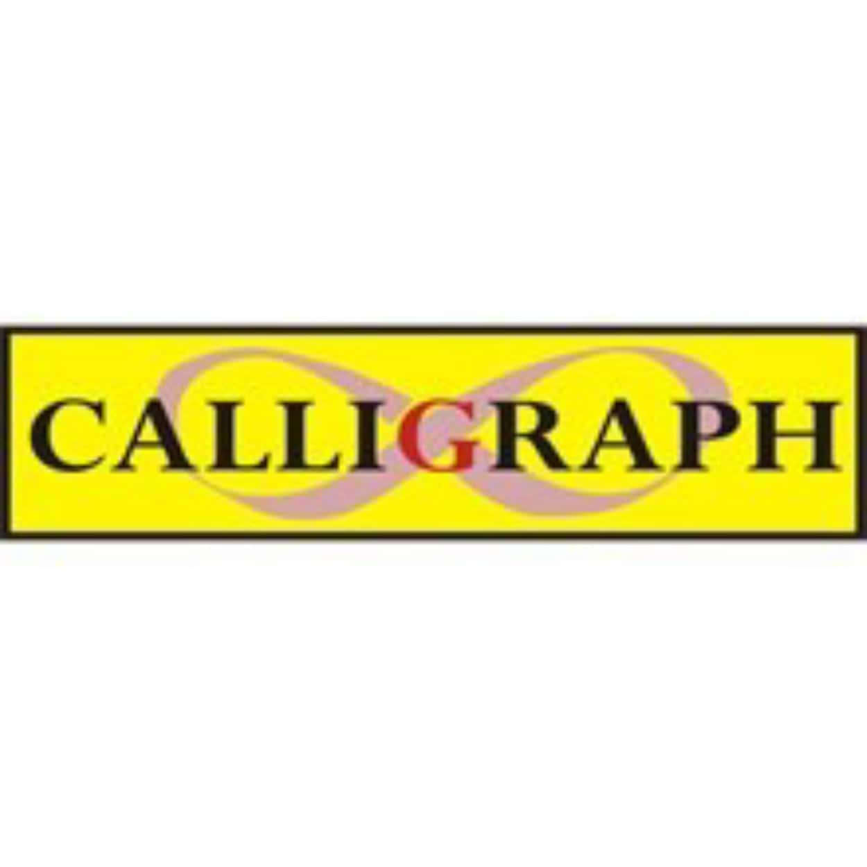 CALLIGRAPH PANTUM PA210/PA211/P2200/P2500/M6500/M6550/M6600 1600 Syf - Görsel 1